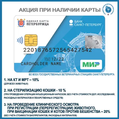 Удостоверение и личный номер питомца: зачем регистрировать и чипировать  домашних животных / Новости города / Сайт Москвы