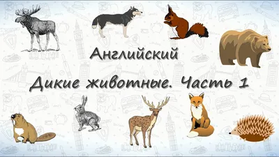 Животные на английском для детей с переводом и транскрипцией