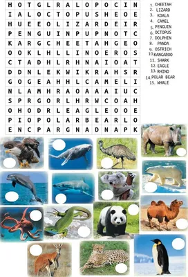 Animals (Животные) — лексика на английском для детей