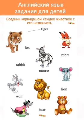 Животные на английском - Novakid Blog