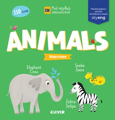 Животные на английском. Дикие Животные. Часть 2 - YouTube