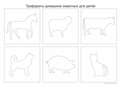 Классификация животных для детей