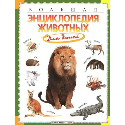 Раскраска животные детей. Раскраска Животные для детей 5-6 лет Лиса. Черно  белые раскраски.