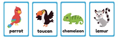 Животные на английском языке для детей - Детский клуб Смайлик Псков
