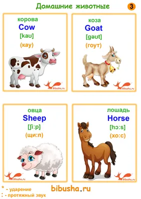 Животные на английском языке с переводом, транскрипцией и русским  произношением - слушать