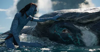 Аватар: Путь воды»: пять признаков того, что фильму не нужен сюжет | Кино и  сериалы на 2x2 | 2022