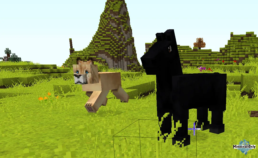 Мод mo creatures 1.12.2. Мод mo creatures 1.16.5. Mo creatures Mod 1.12.2 лошади. Животные в МАЙНКРАФТЕ. Minecraft питомец