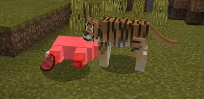 Животные в Майнкрафте - Minecraft - Первый альянс