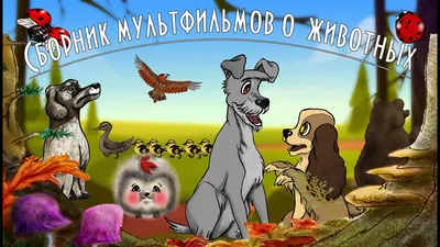 Мультфильмы про животных смотреть онлайн - «Кино Mail.ru»