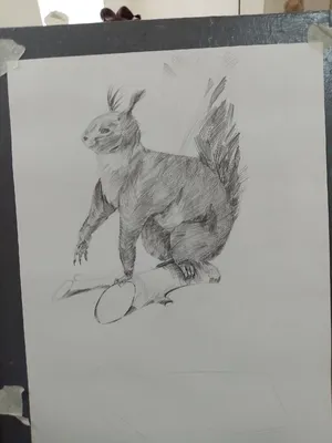 Курс рисования \"Животные карандашом\" - идет запись!