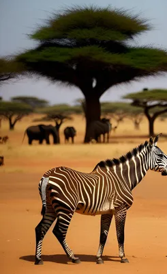 Диковинные обитатели: Удивительные животные, которые можно увидеть в  Африке\" | OmniZen | Дзен