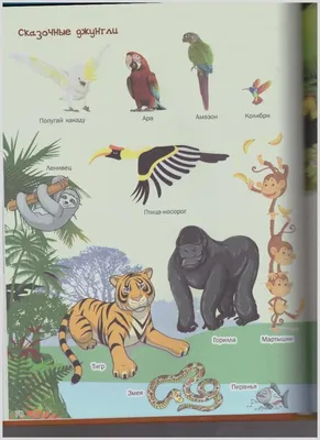 Иллюстрация 12 из 22 для 3000 картинок. Динозавры и Животные, которые можно  рассматривать целый год - Ольга Лашкевич | Лабиринт - книги. Источник:  LanaEr