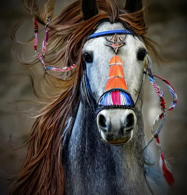 Лошадь в качестве тотемного животного | 𝐃𝐨𝐛𝐫𝐨𝐦𝐢𝐫 𝐑𝐚𝐢𝐧𝐬𝐤𝐲 |  Дзен