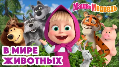 Медведи на Лагонаки: что надо знать | Кавказский государственный природный  биосферный заповедник имени Х.Г.Шапошникова