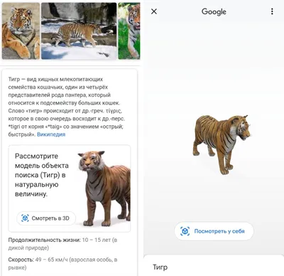 Talking pet app: animating talking animals для Android — Скачать