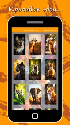 33 обои. Животные. – скачать приложение для Android – Каталог RuStore