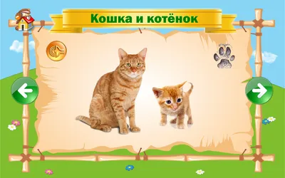 Скачать 1А: Животные (для детей) 1.0.8 для Android