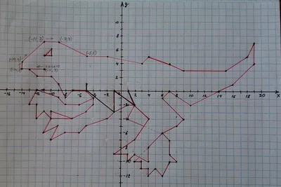 Рисунок по точкам на координатной плоскости с координатами животного (49  фото) » рисунки для срисовки на Газ-квас.ком
