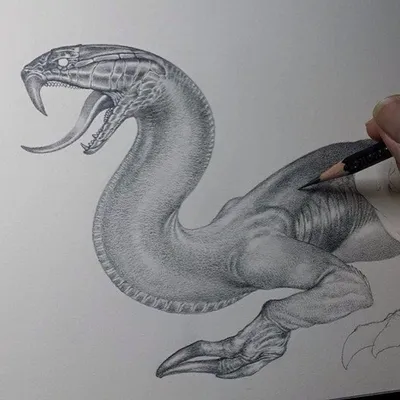 Как нарисовать животных поэтапно карандашом (48 фото) - легкие  мастер-классы по рисованию животных