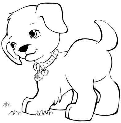 Как нарисовать собаку: 25 лучших способов - Лайфхакер