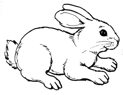 Простые рисунки карандашом животные мультяшные (45 фото) » рисунки для  срисовки на Газ-квас.ком