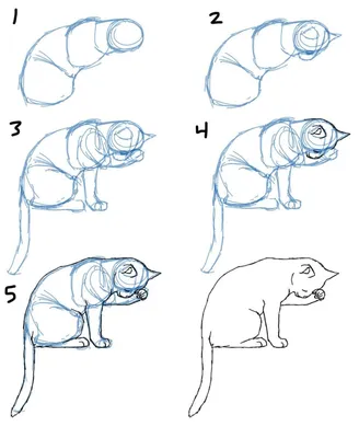 Как нарисовать животных поэтапно видео уроки рисования для детей и  начинающих » Учимся рисовать зверей просто карандашом, акварелью и гуашью