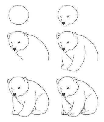 Как нарисовать животных поэтапно карандашом