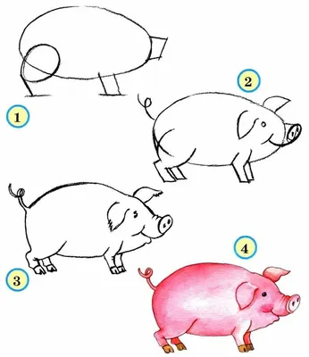 Рисунки животных по этапам (50 фото) » рисунки для срисовки на Газ-квас.ком