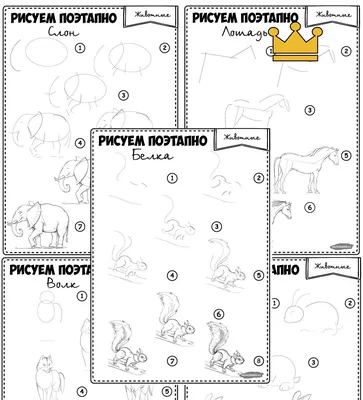 Поэтапное рисование Животных / Книга пошаговых рисунков для детей / ВЫСОКОЕ  КАЧЕСТВО - Елена Проценко - скачать на Wildberries Цифровой | 128636