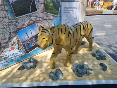 В Приморье владельцы собак, съеденных тигром, получили компенсацию