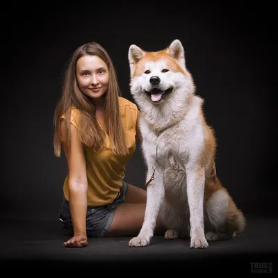 Какие собаки всегда выглядят как щенки - фото и описание | РБК Украина