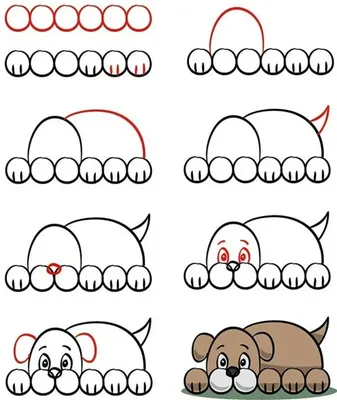 Раскраска Как нарисовать 100 животных 9785171220075 Шаг за шагом купить в  Томске - интернет магазин Rich Family