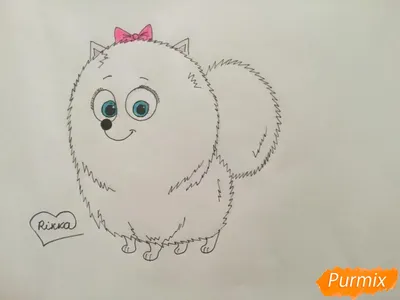 Как рисовать животных APK voor Android Download