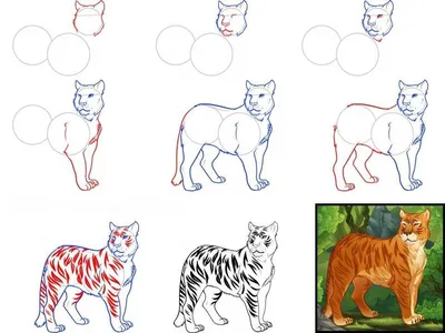 10 способов научить ребёнка рисовать животных из кругов: Персональные  записи в журнале Ярмарки Мастеров