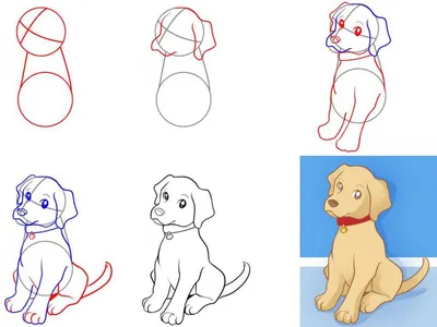 Как рисовать животных. Рисование – скачать приложение для Android – Каталог  RuStore