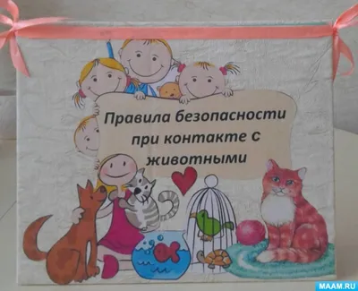 ВКонтакте\" создана группа с информацией о пропавших во время пожара  домашних животных