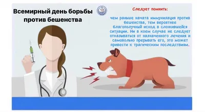 Врач Шевчук рассказала, проходит ли аллергия на шерсть при постоянном  контакте с животными
