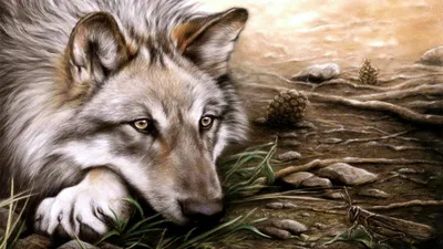 Волки нападают все чаще: в этом году пострадали уже сотни домашних животных  - 20.10.2022, Sputnik Латвия