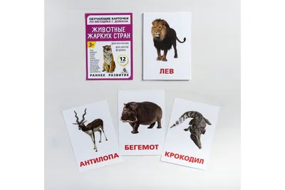Книга Наклейки многоразовые «Животные жарких стран» - купить книги по  обучению и развитию детей в интернет-магазинах, цены в Москве на Мегамаркет  | Р00010974