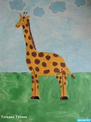Самое высокое животное жираф - 67 фото