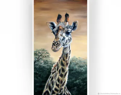 Иллюстрация Наклейки Жирафа Животных Векторное изображение ©blueringmedia  537396366