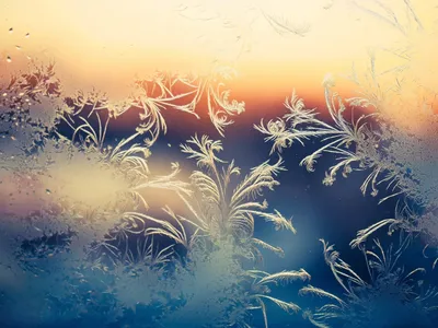Абстракция, зима, холод, лед, Scratchy, голубой, твердый, холодный, белый,  уникальные, дерево, дерево, снег, малый, Bitin иголки. Стоковое Фото -  изображение насчитывающей отмело, снежок: 166559218