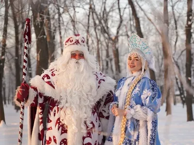 Дед Мороз: Загадочный Волшебник Зимы | Семейка Зеля | Дзен