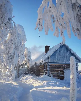 Сибирская деревня зимой (60 фото) - 60 фото