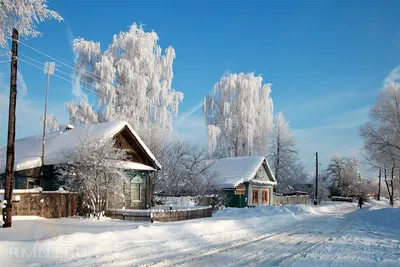 Фотоподборка: русская зима в деревне | Пейзажи, Деревенские фотографии,  Живописные пейзажи