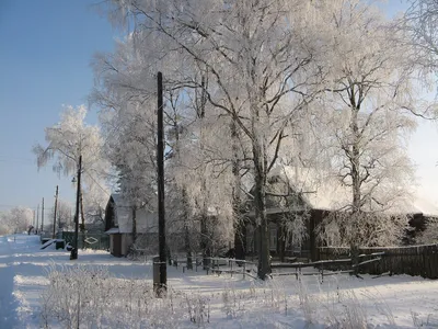 Русская деревня, зима 2010-11