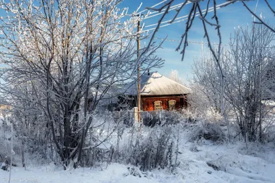 Зима в деревне - Галерея ArtDefa