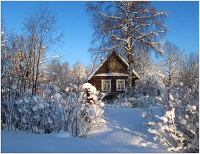 Дом в деревне зимой (85 фото) - 85 фото