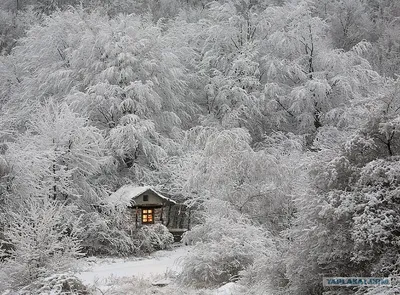 Скачать обои свет, снег, природа, зима, дом разрешение 3840x2400 #104244
