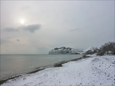 Обои Животные Собаки, обои для рабочего стола, фотографии животные, собаки,  щенки, милые, два, двое, пара, друзья, зима, прикид, снег, костюм, одежда,  шапочка, игра, снежки Обои для рабочего стола, скачать обои картинки  заставки